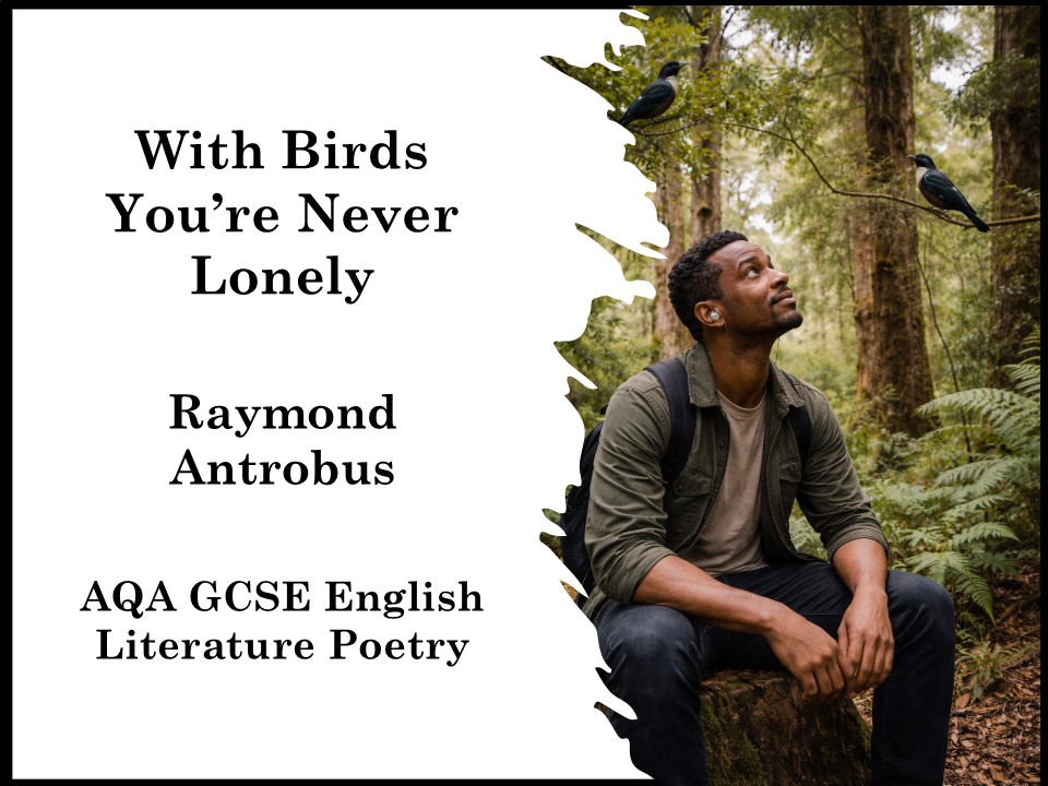 With Birds You’re Never Lonely