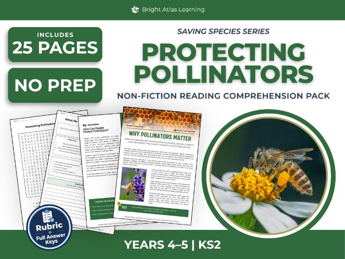 Pollinators Reading Comprehension | KS2 Years 4 & 5