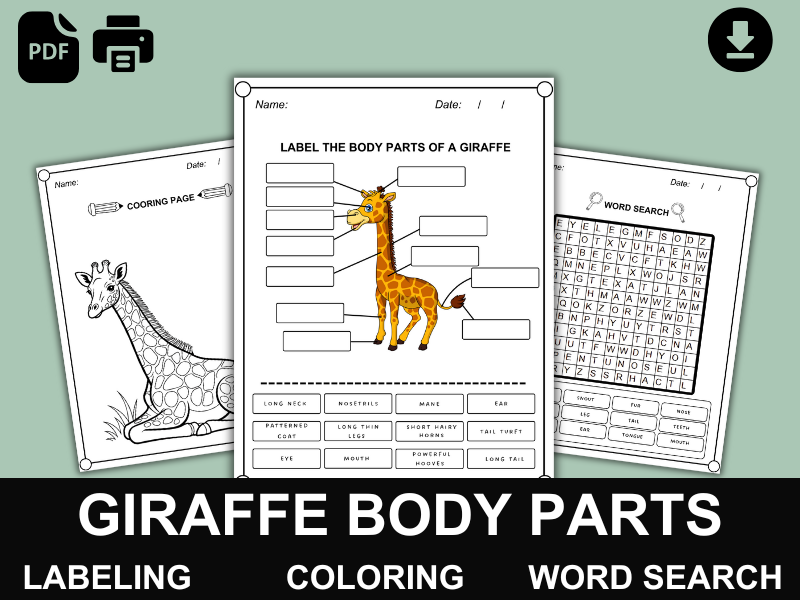 Giraffe Body Parts | Labeling, Coloring & Word Search | Wildlife & Savanna Animals PDF