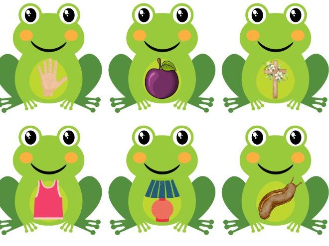 Frog CVCC activity