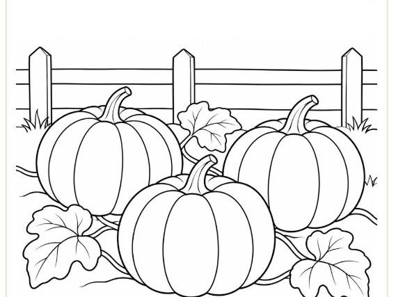 Harvest Festival Activity Pack | Colouring, Maths and Phonics | EYFS & KS1