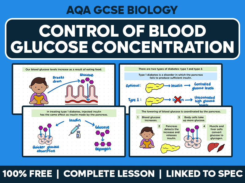 GCSE AQA Biology Complete Lesson - Control of Blood Glucose Concentration