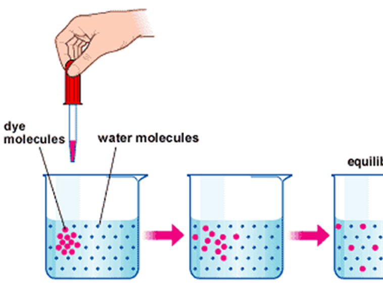 AQA GCSE Biology - Diffusion