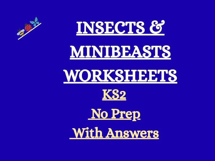 Insects and Mini beasts Worksheets KS2 | Reading Comprehension, Writing & Grammar | With Answers