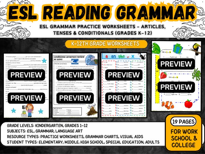 ESL Grammar Practice Worksheets  Articles Tenses & Conditionals
