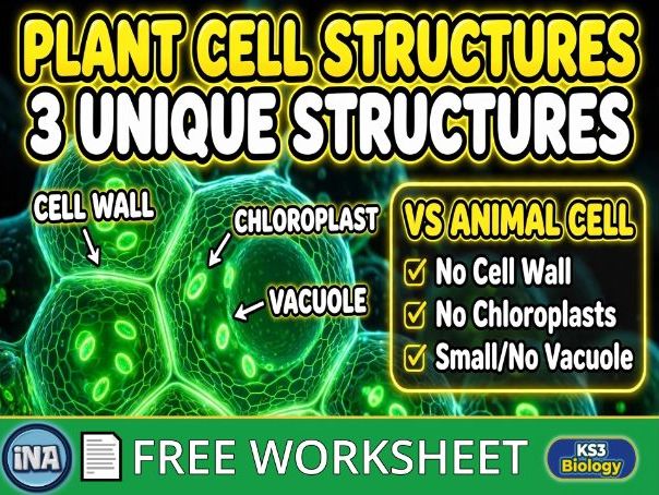 Plant Cell Structures and Their Functions - FREE KS3 Biology Worksheet
