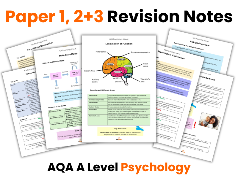 Paper 1 ,2 and 3 Revision Notes BUNDLE | A Level Psychology (AQA)