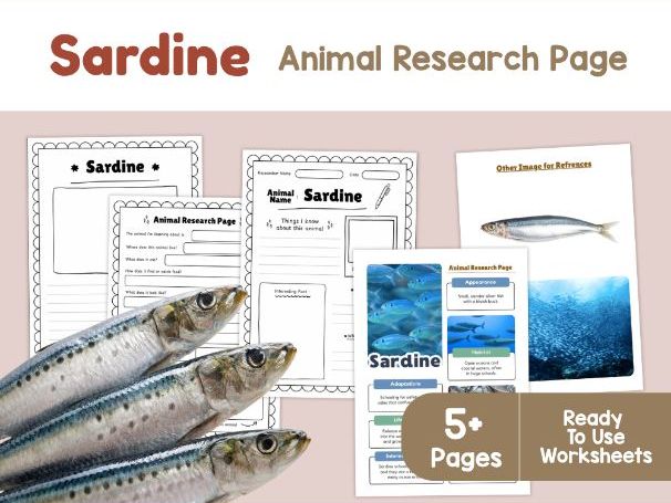 Sardine Worksheets | Schooling Behavior, Habitat and Adaptations