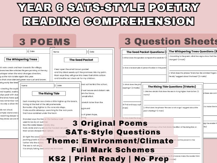 Year 6 SATs Poetry Reading Comprehension | Environment & Climate | 3 Poems + Mark Schemes