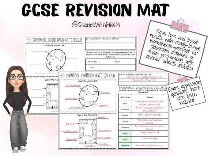 Cell Biology Worksheet KS3/KS4