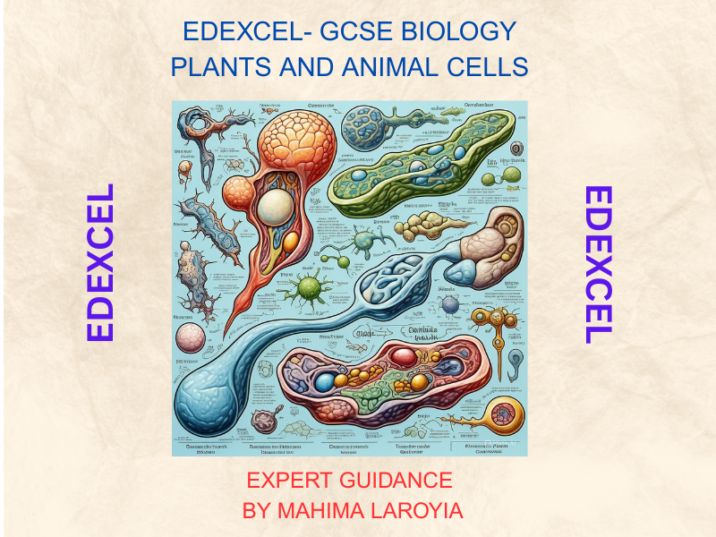 Edexcel - GCSE Biology: Plants and Animal Cells