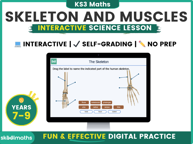 Skeleton and Muscles Interactive Digital Science Lesson with Self-Marking Activities