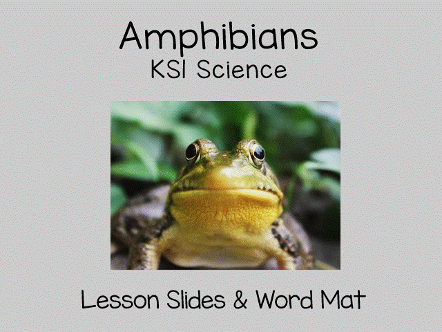 Amphibians for KS1 Science