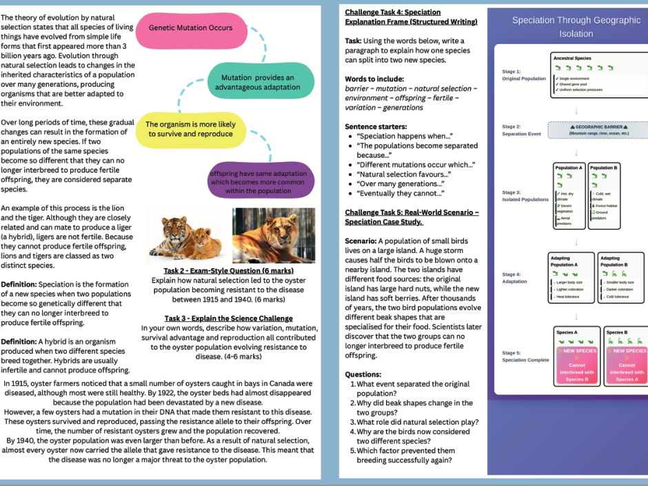 B13/L2 - Evolution by Natural Selection Revision Worksheet With Answers/ GCSE /AQA/Combined Science