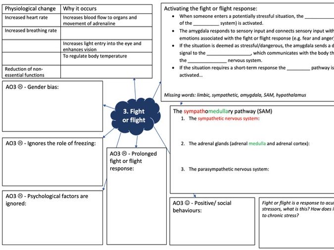 AQA A-level Psychology Biopsychology Mind Maps - New Spec
