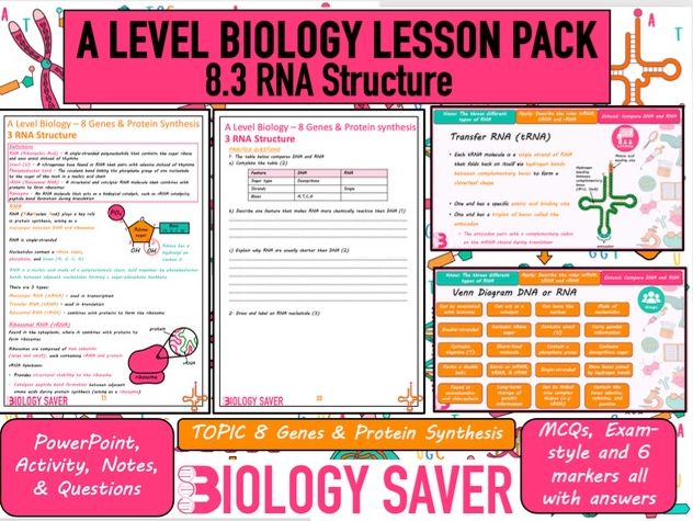 A Level Bio Lesson - 8.3 RNA Structure