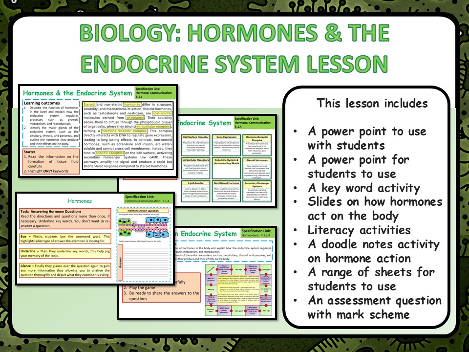 AQA GCSE Biology (Science) The Human Endocrine System Lesson