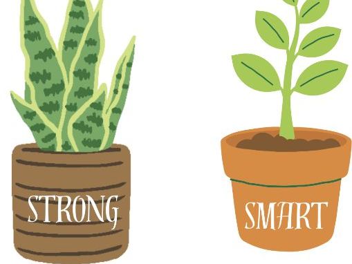 Growth Mindset Plant Posters – Positive Affirmations for Classroom Display