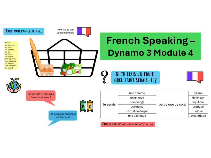 Dynamo 3 Rouge Module 4: Speaking lesson