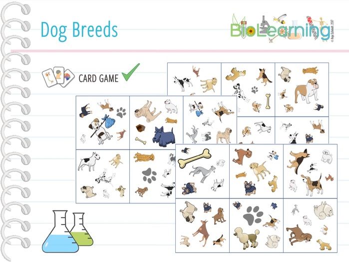 Dogs Card Game (KS2/KS3) Teaching Resources