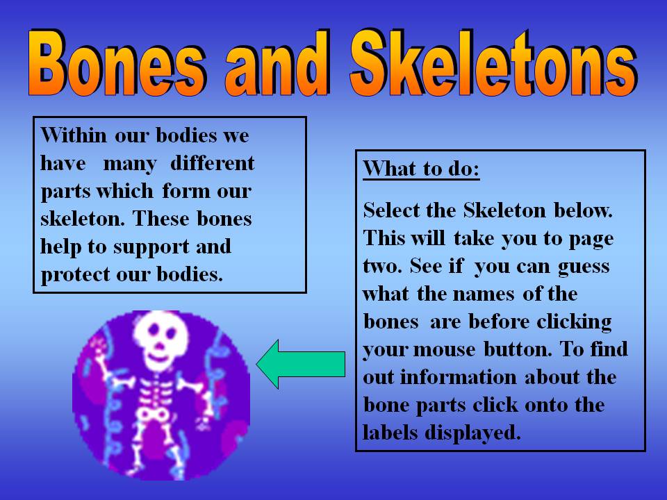 Year 4 Planning Maths Literacy Assemblies
