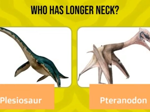 Dinosaur Comparison Challenge | Comparative Adjectives Video for Young Learners