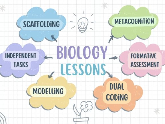 Specialised animal cells