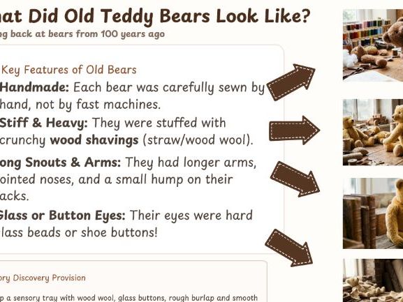 The History of Teddy Bears -EYFS/Year 1