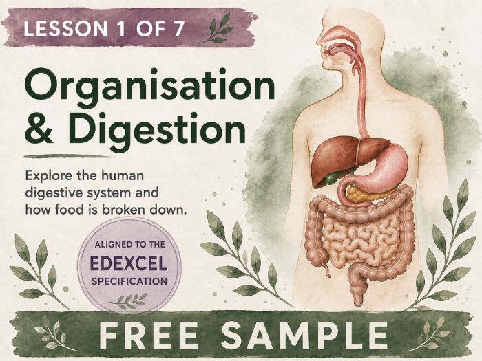 The Digestive System – Lesson 1 of Unit 2 for Edexcel GCSE Biology (FREE)
