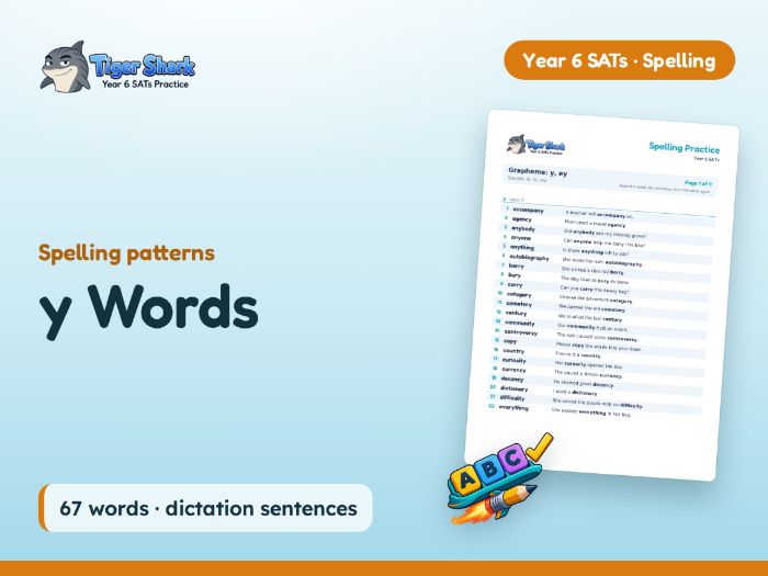 y Words: Year 6 Spelling Patterns