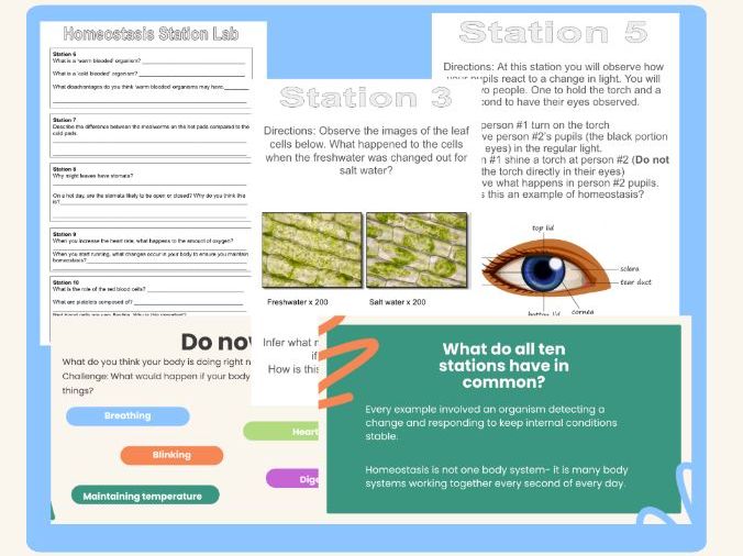 Homeostasis Lesson: Powerpoint, lab, homeschool guidance