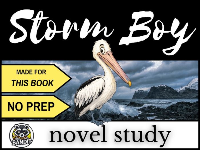 STORM BOY Novel Study