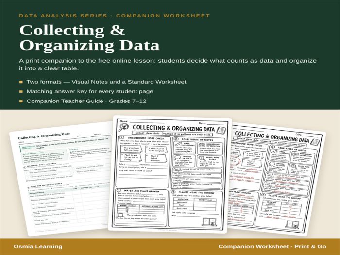 Collecting & Organizing Data Companion Worksheet