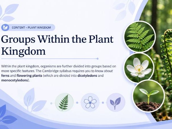 iGCSE Biology - 1.3 Features of organisms