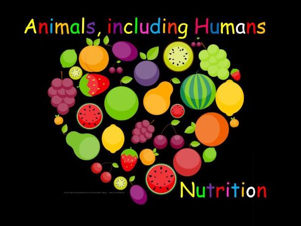 NUTRITION LESSON 1 - Animals including Humans