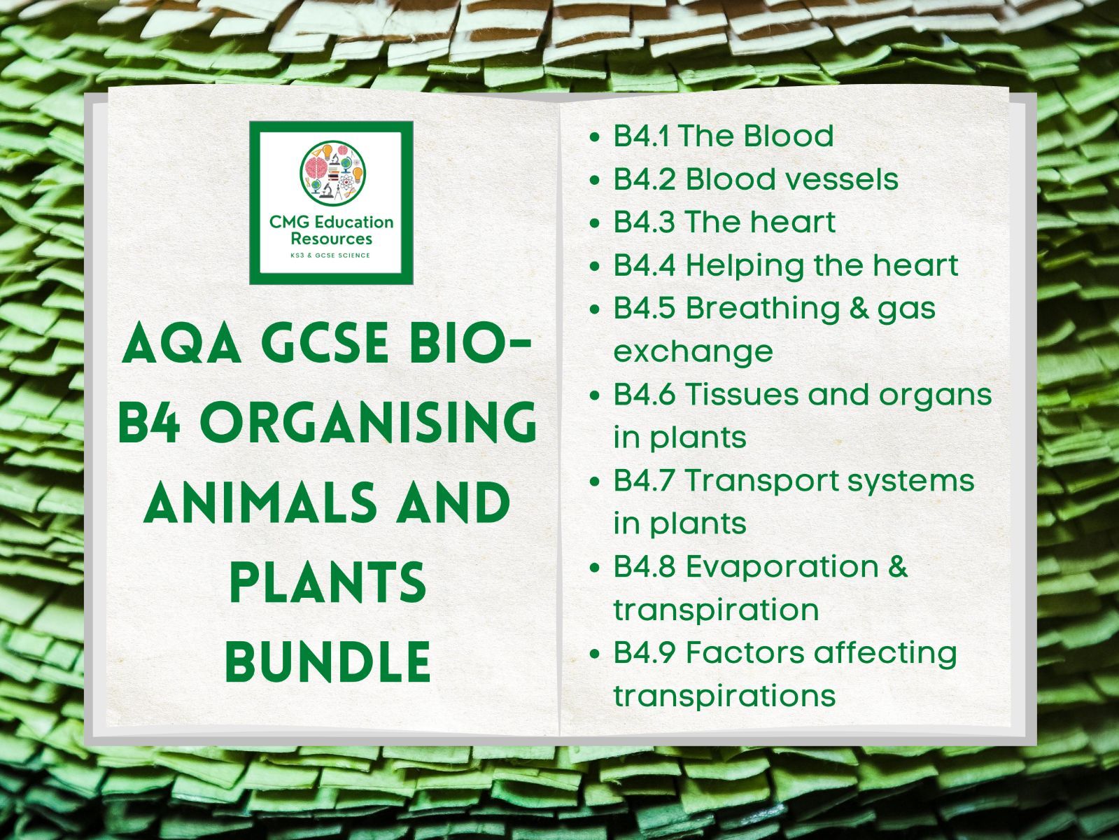 B4 Organising animals and plants bundle (AQA 91 GCSE Biology) Teaching Resources