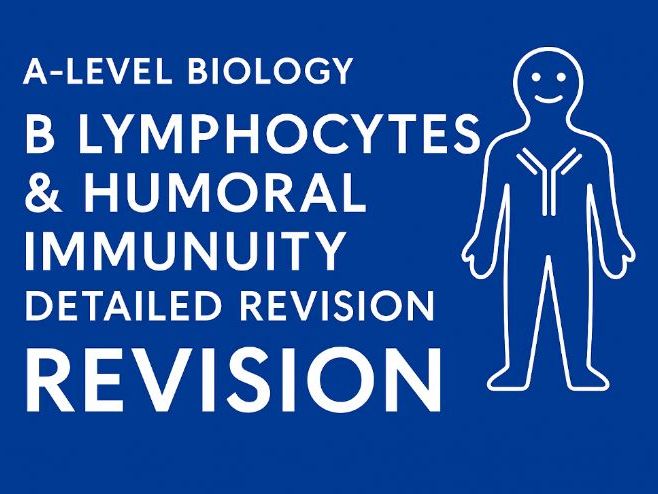 A Level B cells and Humoral Immunity