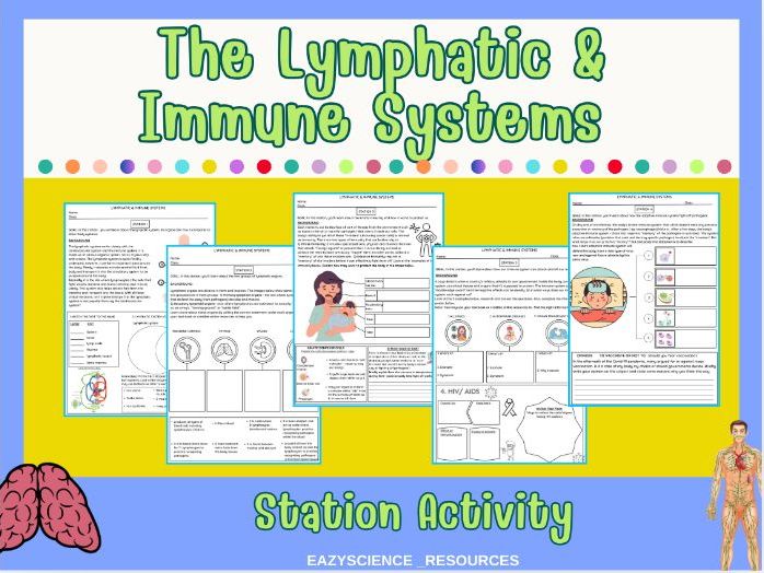 Lymphatic & Immune System Station Activity