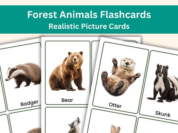 Forest Animals Flashcards – 32 Realistic Picture Cards