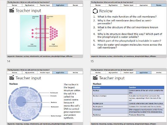 AAQ BTEC Health & Social Care - Unit 2 - A1 Cells