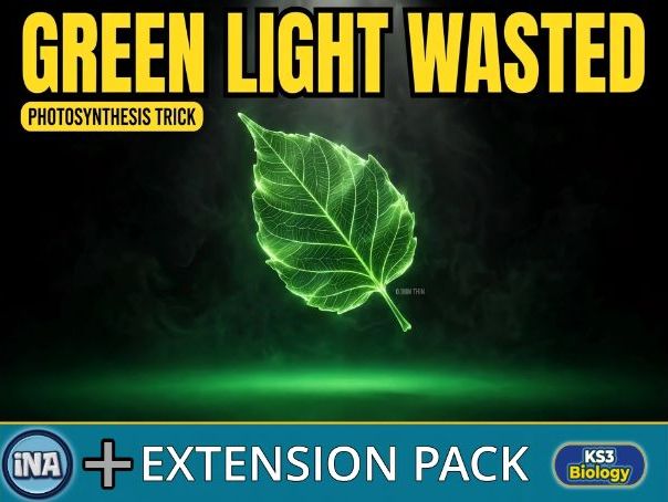 Plant Adaptations for Photosynthesis - KS3 Biology Extension Pack