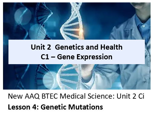 AAQ BTEC Medical Science Unit 2 Ci Gene Expression – Lesson 4 Genetic Mutations