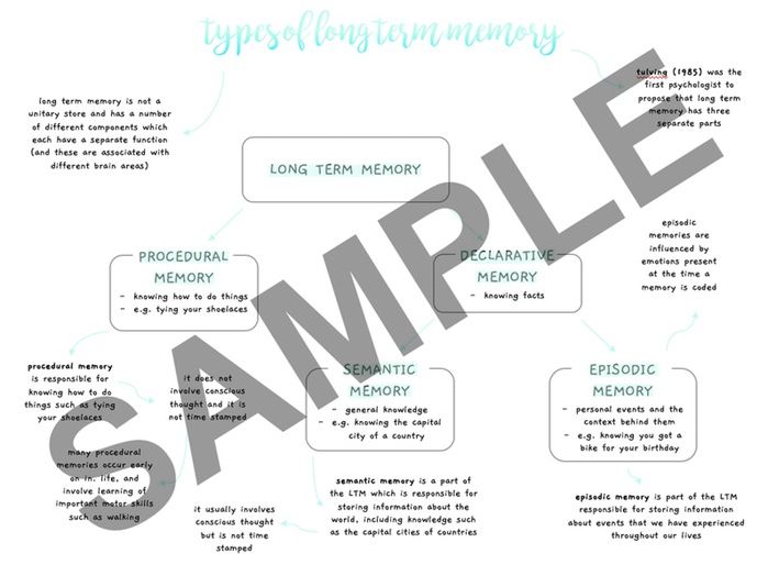 AQA A Level Psychology - Types of Long Term Memory