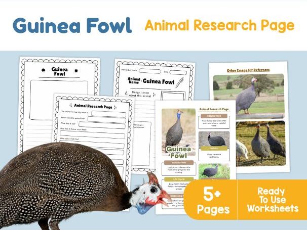 Guinea Fowl Animal Research Page | Birds and Habitats Worksheets