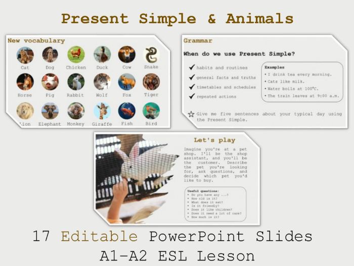 Present Simple & Animals | A1–A2 ESL Lesson