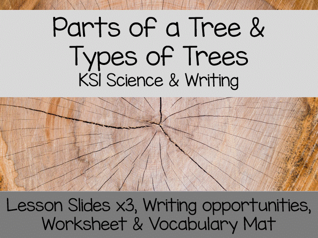 Parts of a Tree & Types of Trees | Coniferous vs Deciduous | KS1 Science Lesson Pack