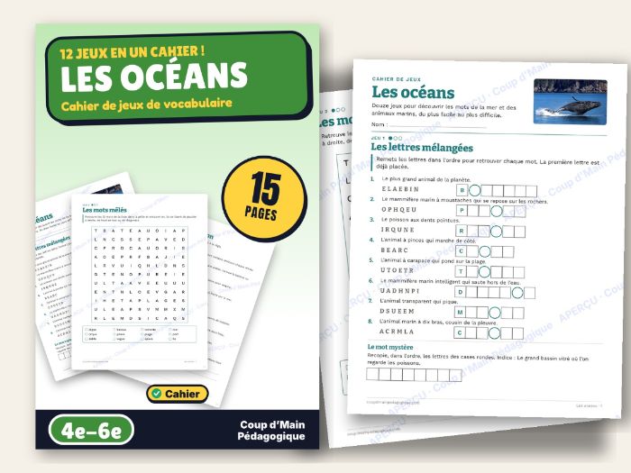 French Ocean Vocabulary Puzzles Grade 4-6 Sea Animals | Les océans