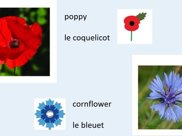 Le Jour de l'Armistice