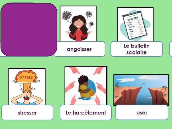 GCSE / IGCSE French -l'ecole / school - Le stress au college - Edexcel - Y11 PPT