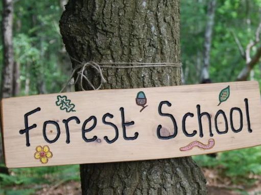 Upper KS2 Forest School Planning Pack | 11 Session Plans with Tool & Fire Options
